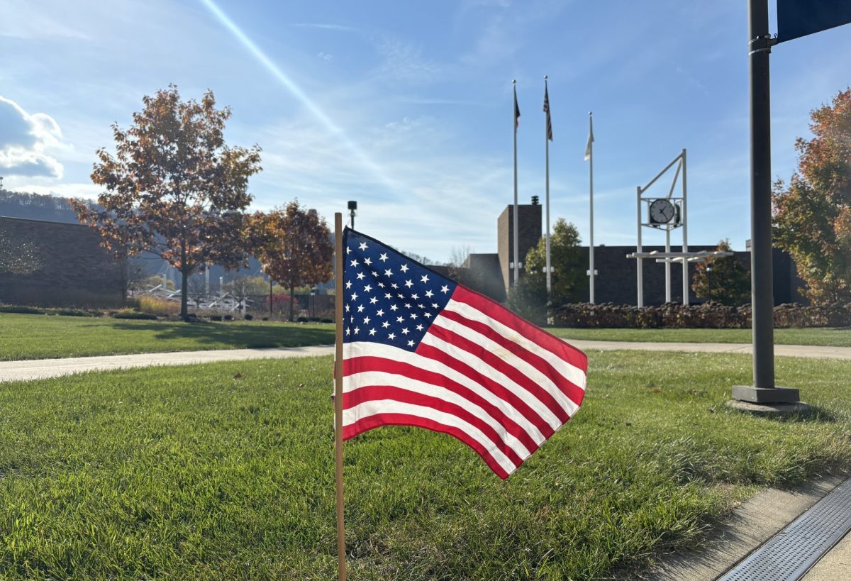 Flags across campus for Veterans Day