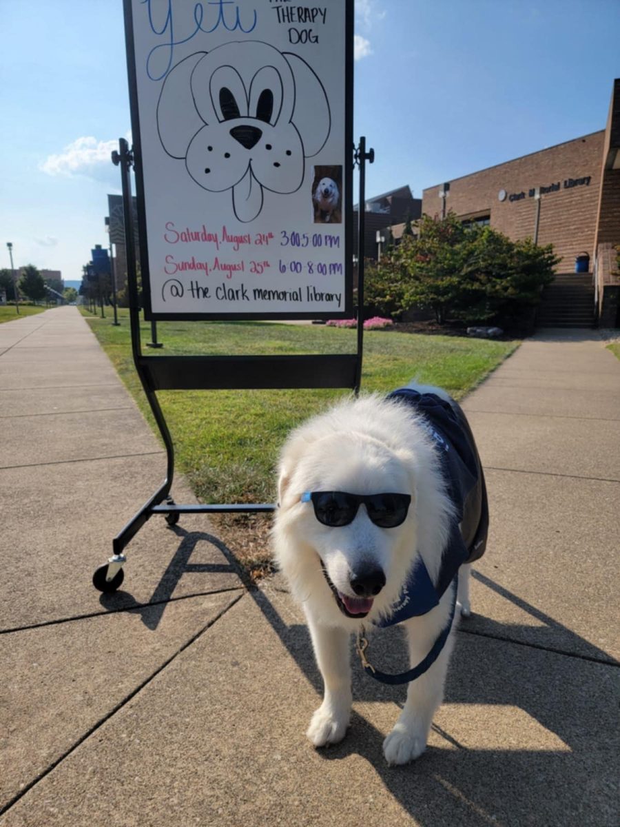 Yeti outside of the Clark Memorial Library during a visit